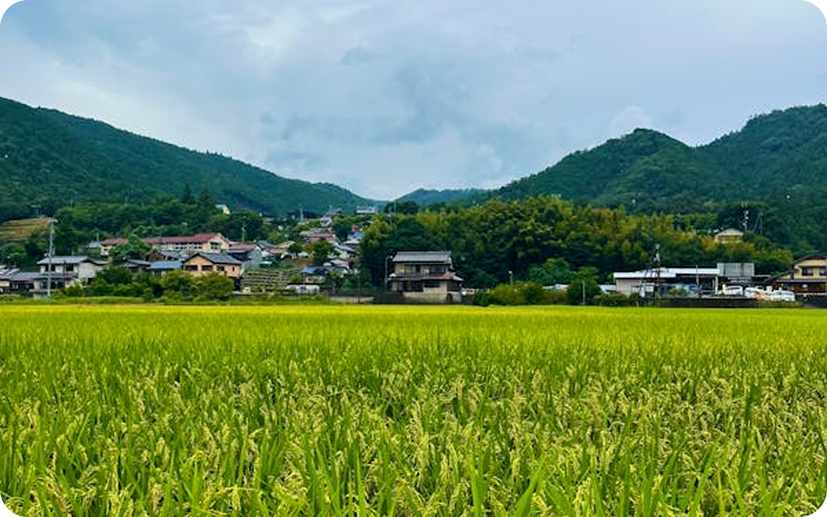 地域に根ざした信頼と実績